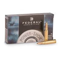 .300 Win Mag SP Federal